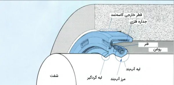 کاسه نمد چیست